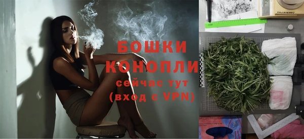 индика Зерноград