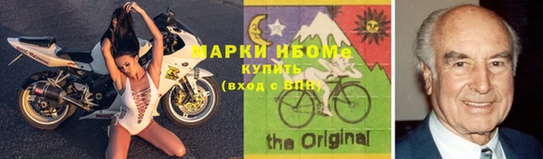 прущие грибы Зеленокумск