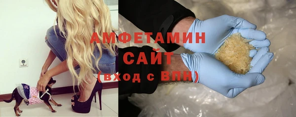 прущие грибы Зеленокумск