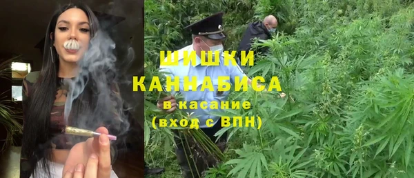 прущие грибы Зеленокумск