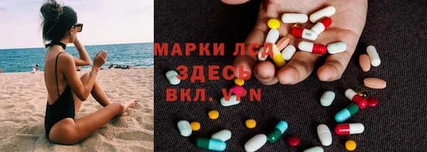 индика Зерноград