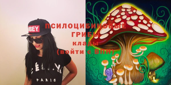 прущие грибы Зеленокумск