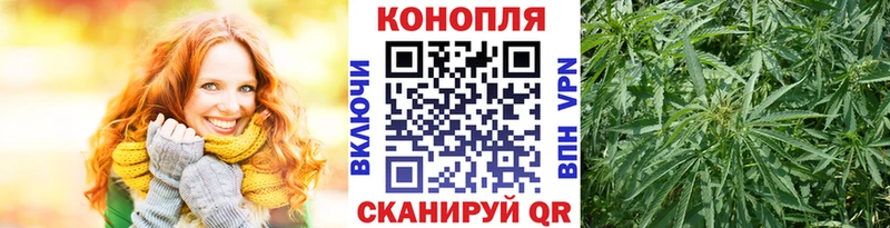 Купить закладки  Канаш  Каннабис сатива 